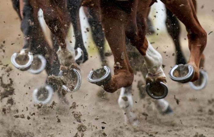 Beunruhigt über eine geplante Steuer sagt die Pferderennbranche am Donnerstag Rennen ab