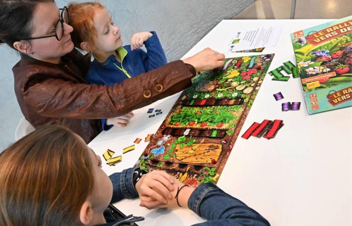 In Creuse können Sie in der Multimedia-Bibliothek Grand Guéret Brettspiele ausprobieren