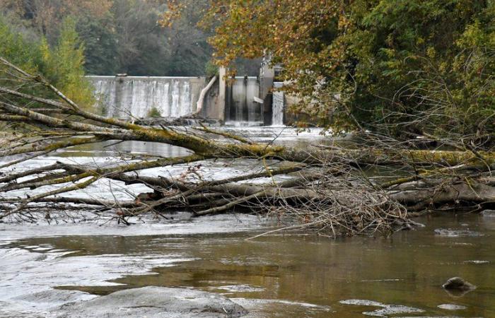 Die Einwohner von Carcassonne sind besorgt über die mangelhafte Instandhaltung des Aude-Flusses und fordern eine schnelle Reinigung