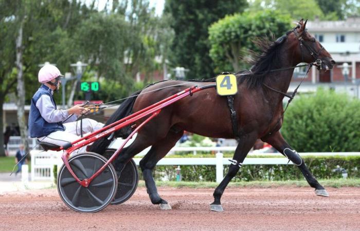 Quinté+ ab 8. November 2024 in Vincennes: Jet Express auf Basis