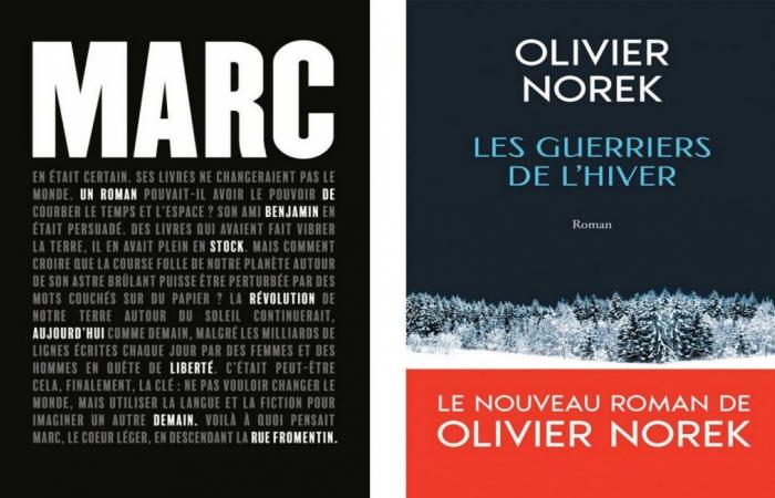 Der Flore-Preis ging an Benjamin Stock und der Jean-Giono-Preis an Olivier Norek