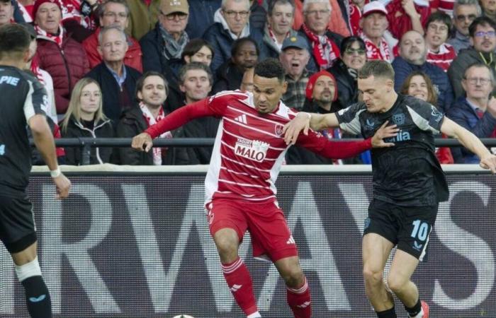 Ligue 1. Stade Brestois reist an einem Freitag nach Lille