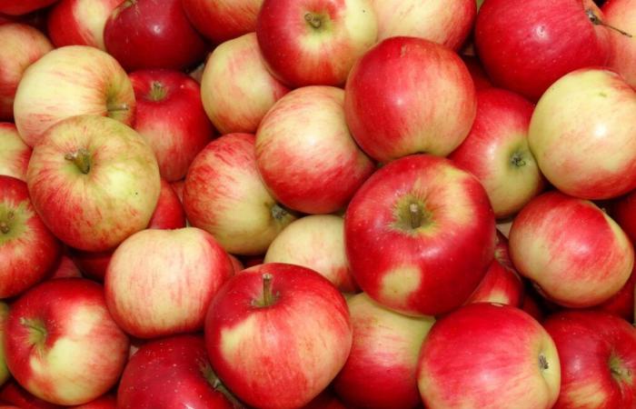 Unser Ernährungsratschlag der Woche. Ein Apfel am Tag hält den Arzt fern! Aber warum dann?