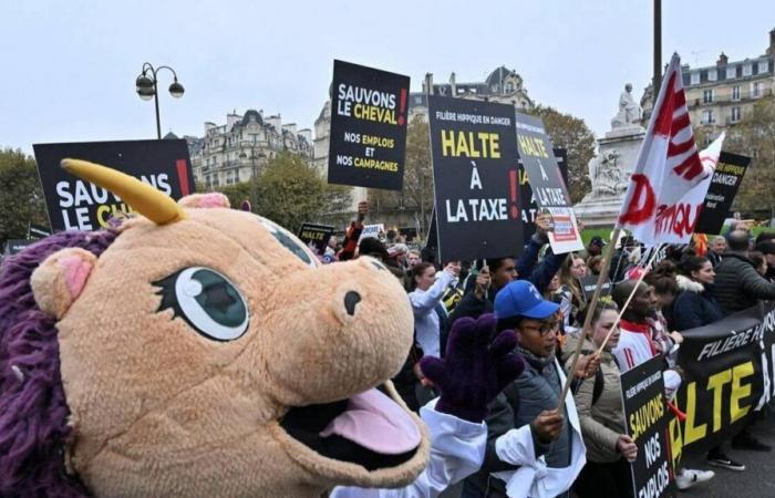 Tausende Demonstranten in Paris