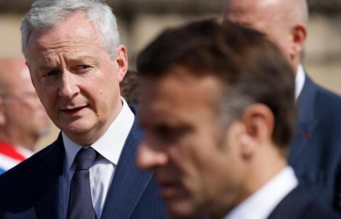 Bruno Le Maire und Emmanuel Macron, zwei Verdächtige im Visier der Senatsuntersuchung