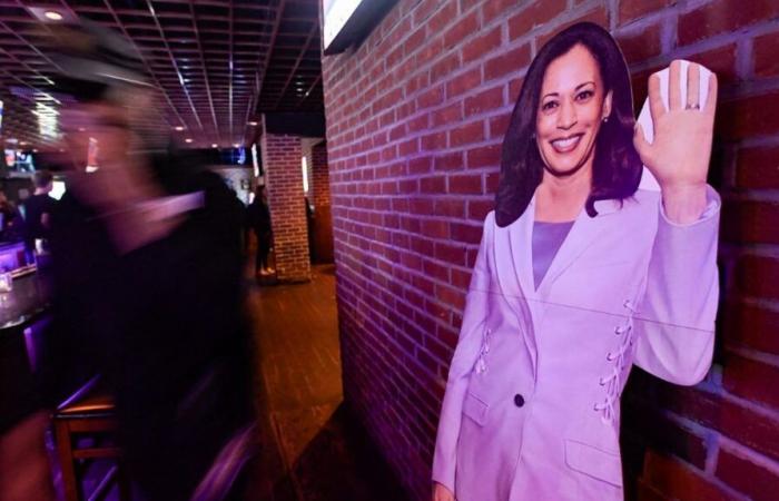 Wie lässt sich die Wahlniederlage von Kamala Harris erklären, die weitgehend von Donald Trump geschlagen wurde?