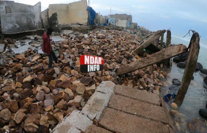 Senegal ist das drittgrößte afrikanische Land, das am stärksten von Küstenerosion betroffen ist