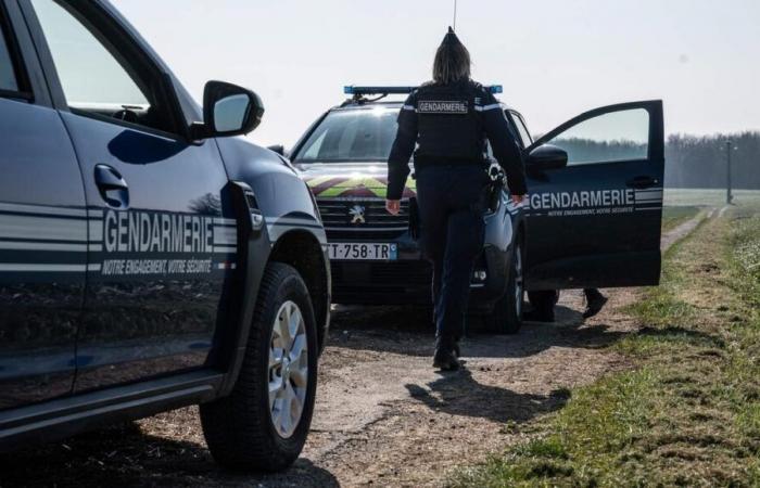 Mit einer Axt bewaffnet droht er, sein Haus in Charente-Maritime niederzubrennen