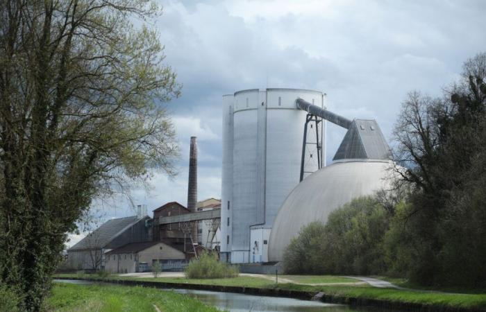 Aber woher kommt der Zucker, der Hunderte von Fischen in Seine-et-Marne erstickt?