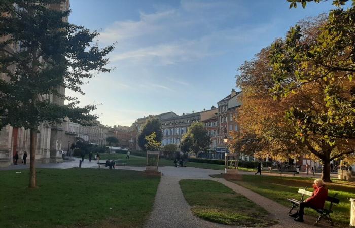 KARTEN. Hier sind die Prognosen von Météo France für das lange Wochenende des 11. November in Toulouse und Okzitanien