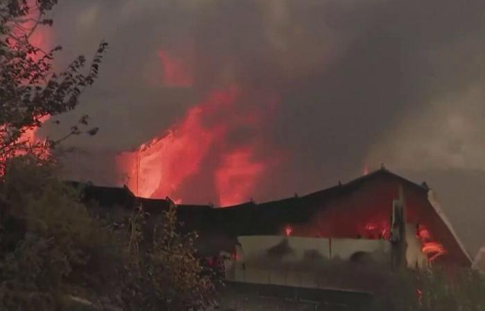 ein Feuer am Stadtrand von Los Angeles