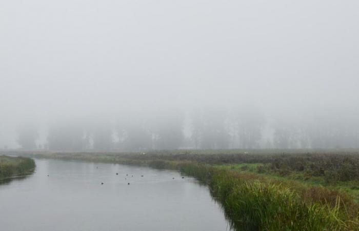 Wetterbericht. Wolken, Nebel, Lichtungen…: Wie lauten die Prognosen für dieses lange Wochenende im Norden und im Pas-de-Calais?