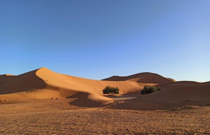 Rubrik. Während der gesamten Fahrt. Ein Stück Franche-Comté im Maghreb | Wöchentlich 39