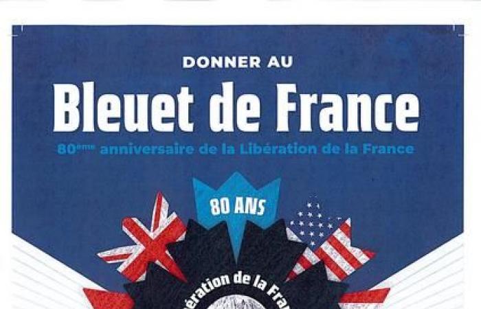 Nationale Bleuet de France-Kampagne – 11. November 2024 – Neuigkeiten