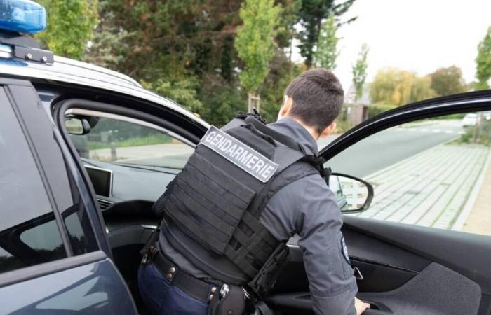 Ein Autofahrer wird wegen versuchten Mordes an Gendarmen in der Loire-Atlantique angeklagt