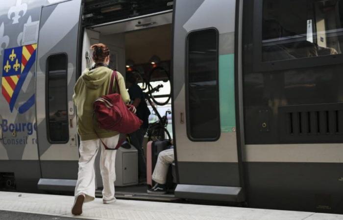 Transport. Langes Wochenende vom 11. November: SNCF Voyageurs macht mobil