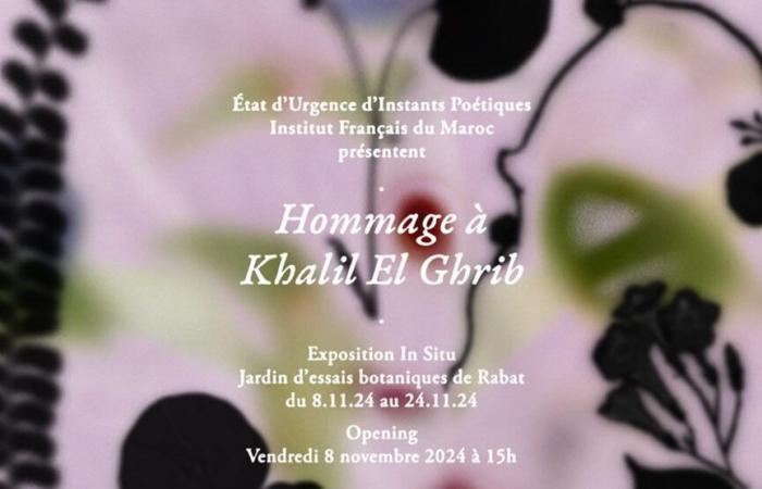 Hommage an Khalil El Ghrib im Botanischen Testgarten von Rabat