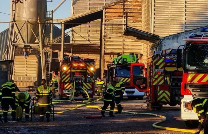 Fast 90 Feuerwehrleute waren beim Silobrand in Villedômer Asbest ausgesetzt