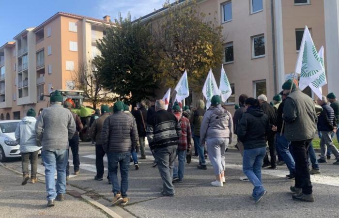 Dutzende Tafeln wurden abgebaut und vor der Präfektur in Digne-les-Bains aufgestellt