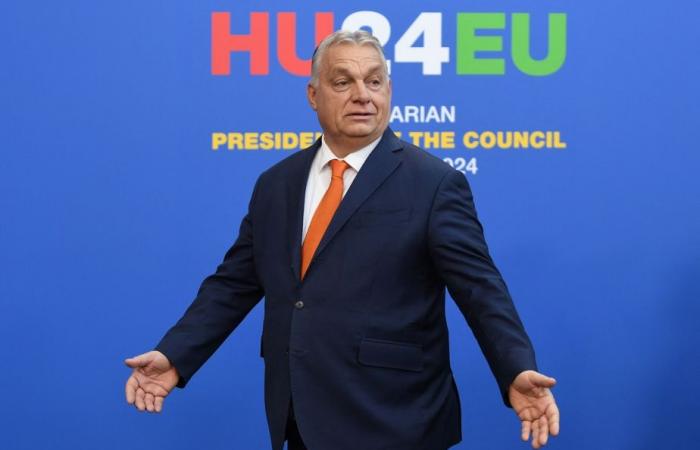 Donald Trump zum Präsidenten gewählt | Orban fordert die Europäer auf, in der Ukraine „vom Krieg zum Frieden überzugehen“.