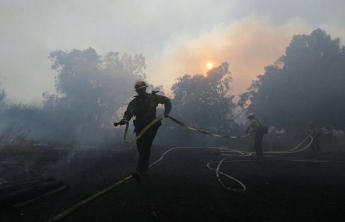 Feuer in Los Angeles: Mehr als 8.300 Hektar verbrannt, Häuser zerstört und Tausende evakuiert