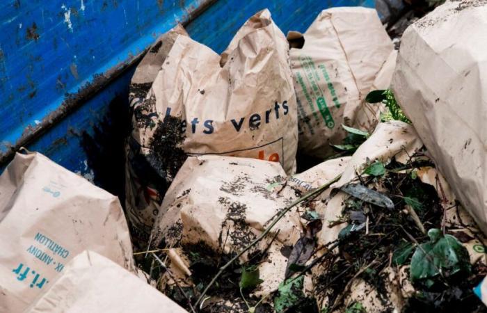 Feiertag: Alle Recyclingzentren in der Eurometropole öffnen am 11. November, Müllabfuhren werden verschoben