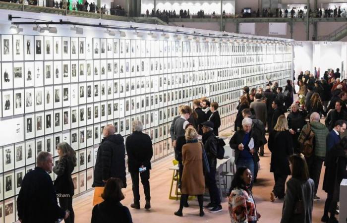 Betreten Sie die Welt der Fotografie, die im Grand Palais ihr stilvolles Comeback feiert