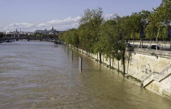 Das Pariser Rathaus möchte die Einwohner der Hauptstadt auf das „Überschwemmungsrisiko“ vorbereiten, indem es ihnen „eine große Sensibilisierungsaktion“ anbietet.