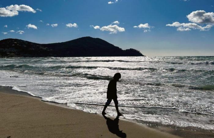 Im Norden bleibt das Grau bestehen, im Süden immer in der Sonne