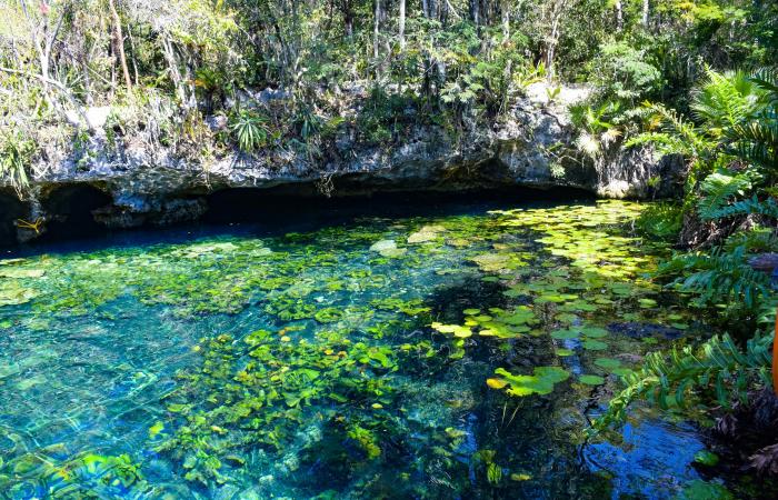 8 der besten Cenoten in der Nähe von Tulum