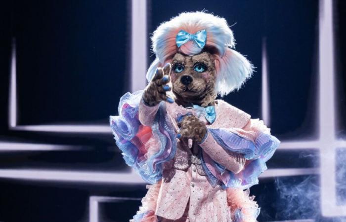 „The Masked Singer“: Hören Sie sich jetzt Labradoodles Auftritt an