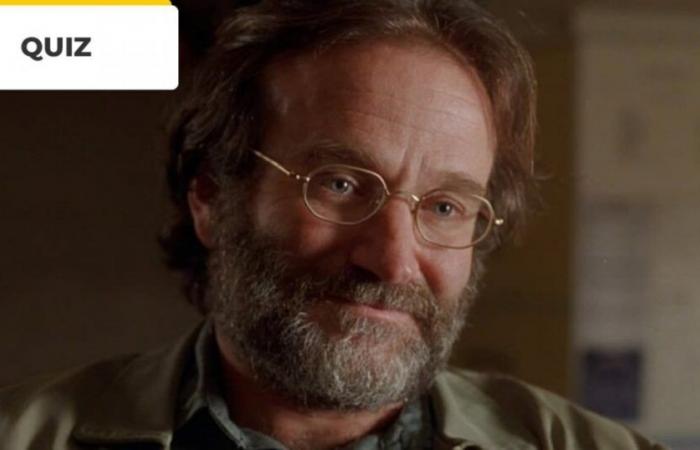 Kino-Quiz: 10 Robin-Williams-Filme zum Erkennen! : Kino und Serien