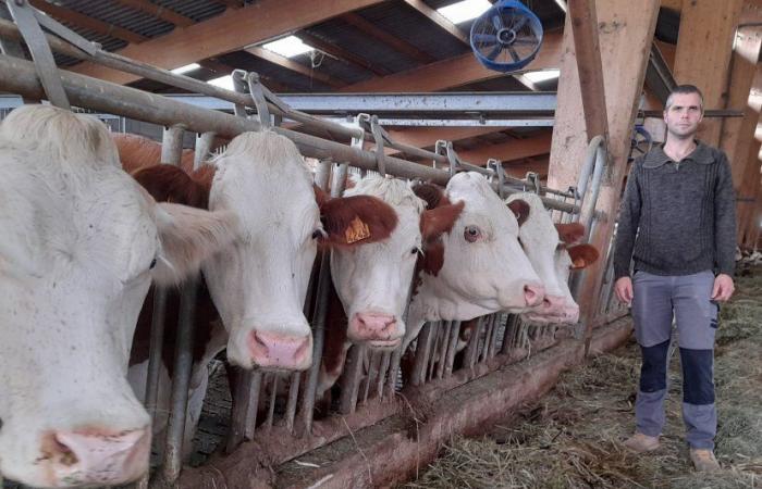 Neuerfindung und Engagement bei Ferme du Val