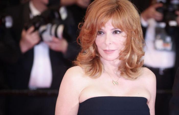 „Königin Mylène Farmer ist hier! »: Der Sänger hat einen Überraschungsauftritt im Grand Rex in Paris