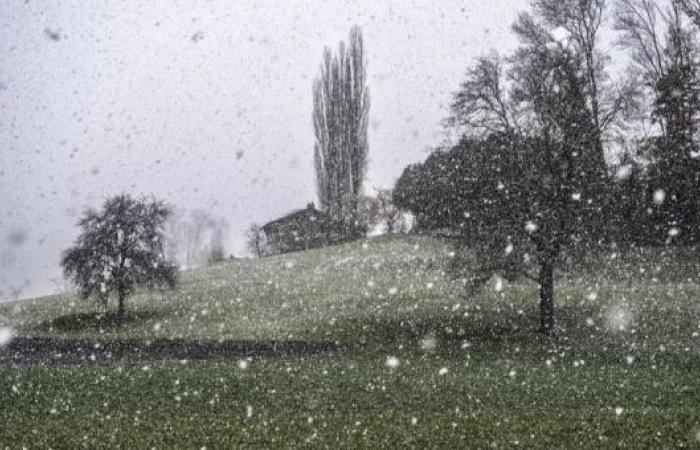 Ab Dienstag gibt’s Schnee bis auf 800 Meter