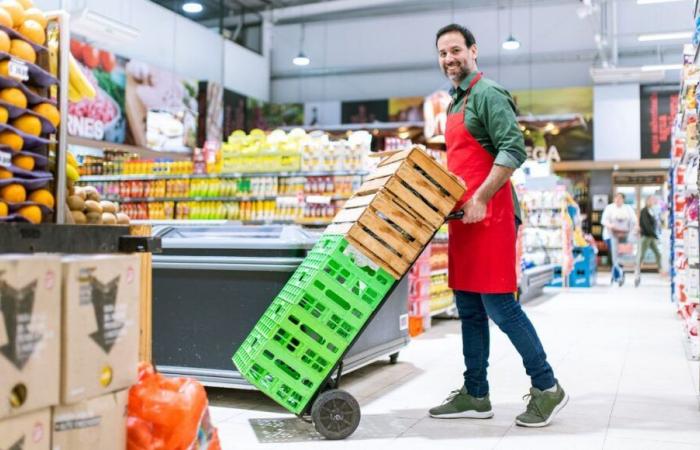 LIDL Sorgues sucht ein vielseitiges Teammitglied mit unbefristetem Vertrag: Treten Sie dem Team bei!