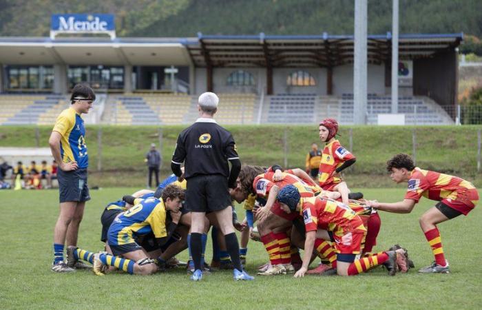 Rugby: Die Jugend des Mende Lozère Rugby Club empfängt den Ras Bassin Sud Montpelliérain zu einem hochintensiven Tag