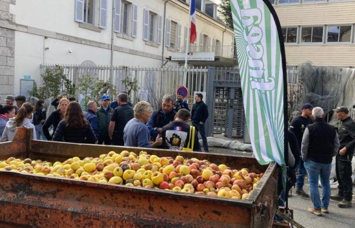 Der Präfekt von Hautes-Alpes hörte die Baumpfleger an und gab ihnen Genugtuung