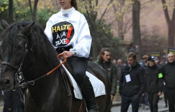 Gegen ein Projekt zur Besteuerung von Pferderennwetten demonstriert die Branche in Paris