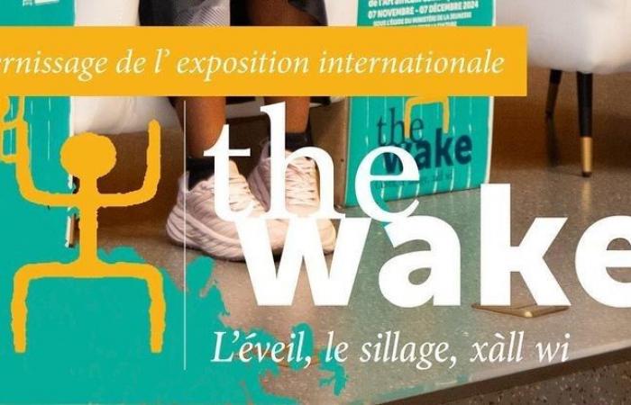 Dakar Biennale: ein erstes Wochenende voller Eintauchen