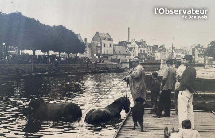 Geschichte: Die Ausstellung ist eine Hommage an Maurice Duvanel