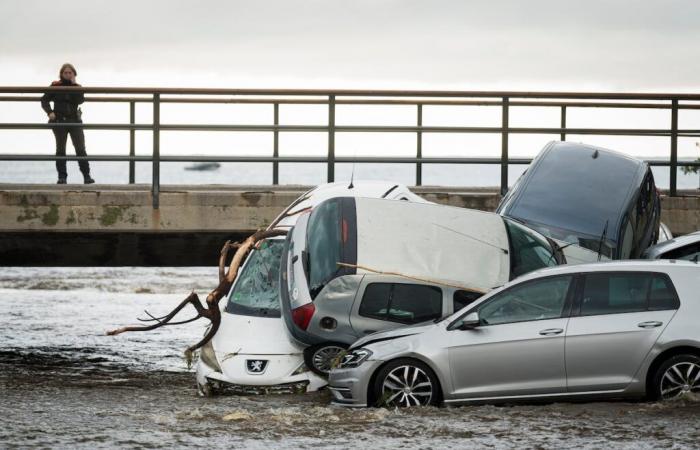 Die Regenfälle spülten in Cadaqués (Girona) rund dreißig Fahrzeuge weg, ohne dass es Opfer gab | Nachrichten aus Katalonien