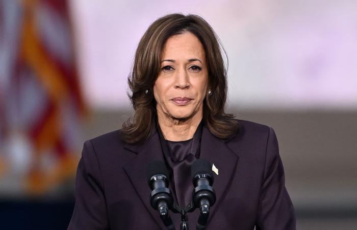 Pelosi macht Harris‘ Niederlage auf Bidens späten Ausstieg und die fehlenden offenen Vorwahlen der Demokraten zurückzuführen