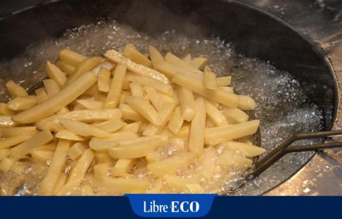 „Anfang Oktober gab es noch einige Befürchtungen“: Das Wetter verschont belgische Kartoffeln immer noch, gute Nachrichten für Pommes