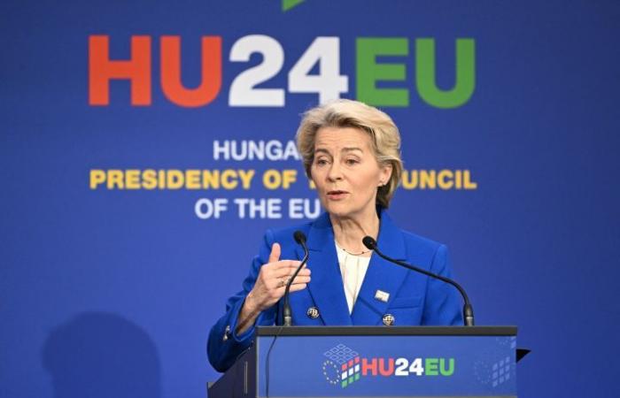 Von der Leyen schlägt Trump vor, russisches Gas durch amerikanisches Gas zu ersetzen