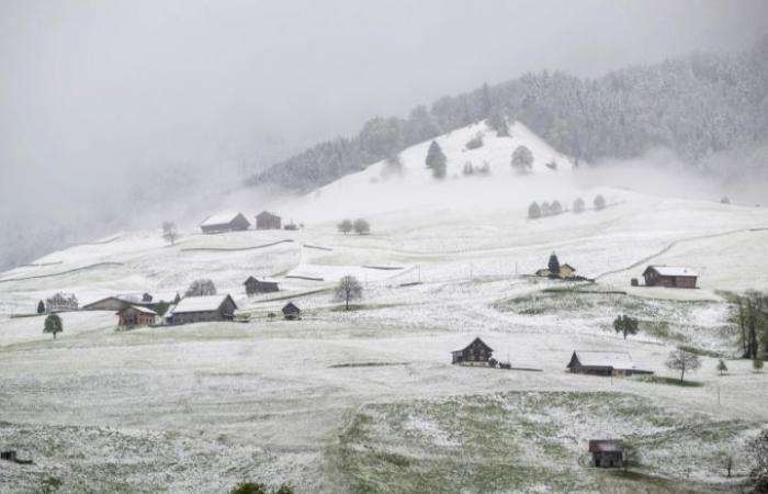 Ab Dienstag gibt’s Schnee bis auf 800 Meter