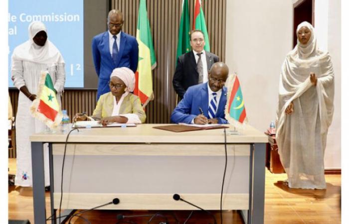 Zusammenarbeit. Mauretanien und Senegal stärken ihre Beziehungen