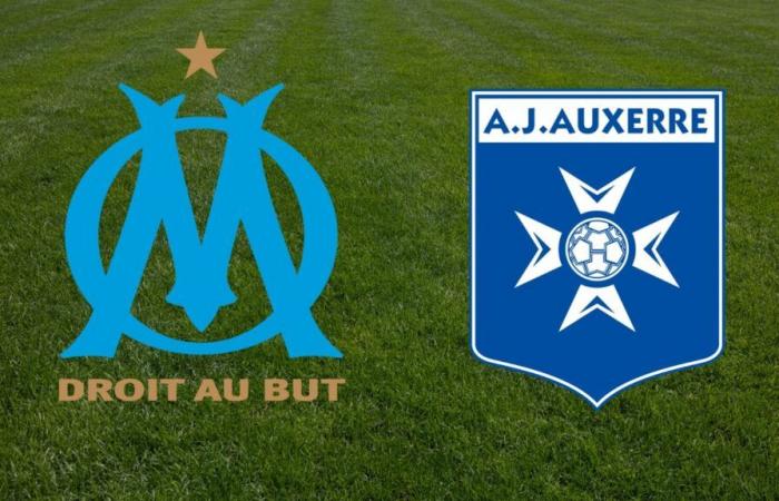 Auxerre: Zu welcher Uhrzeit und auf welchem ​​Kanal kann man das Spiel der Ligue 1 live verfolgen?