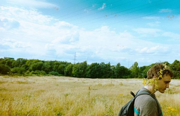 „Vogel“: der Flug des jungen Mädchens