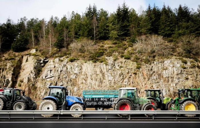 In Corrèze beginnt der landwirtschaftliche Zorn